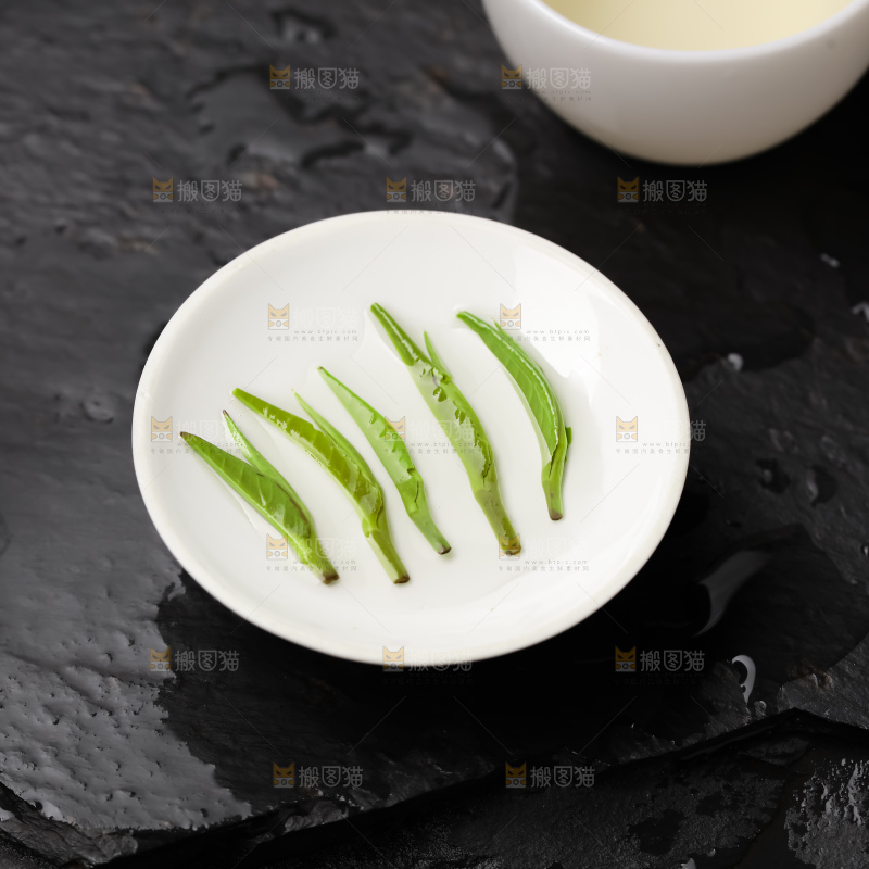 雀舌