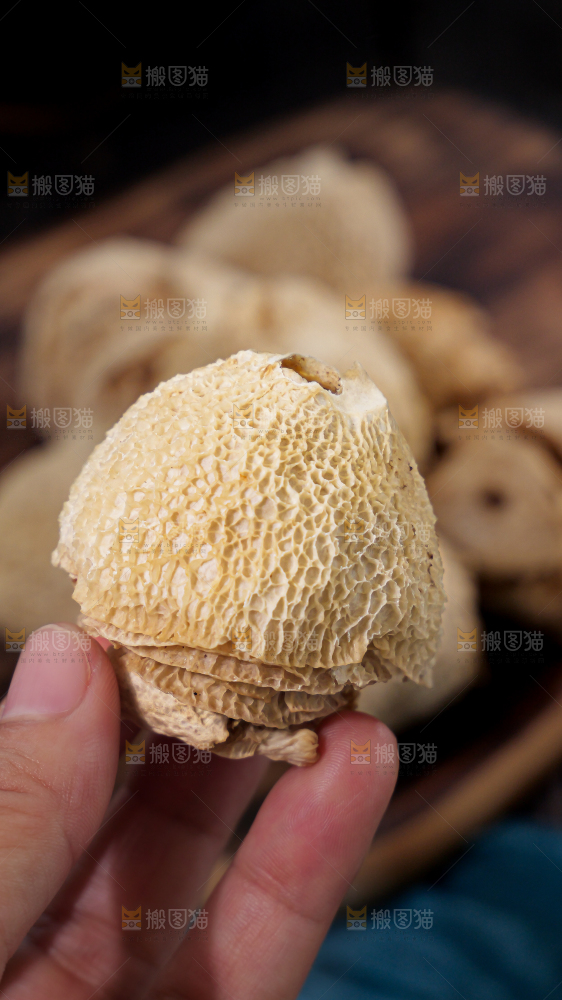 竹毛肚