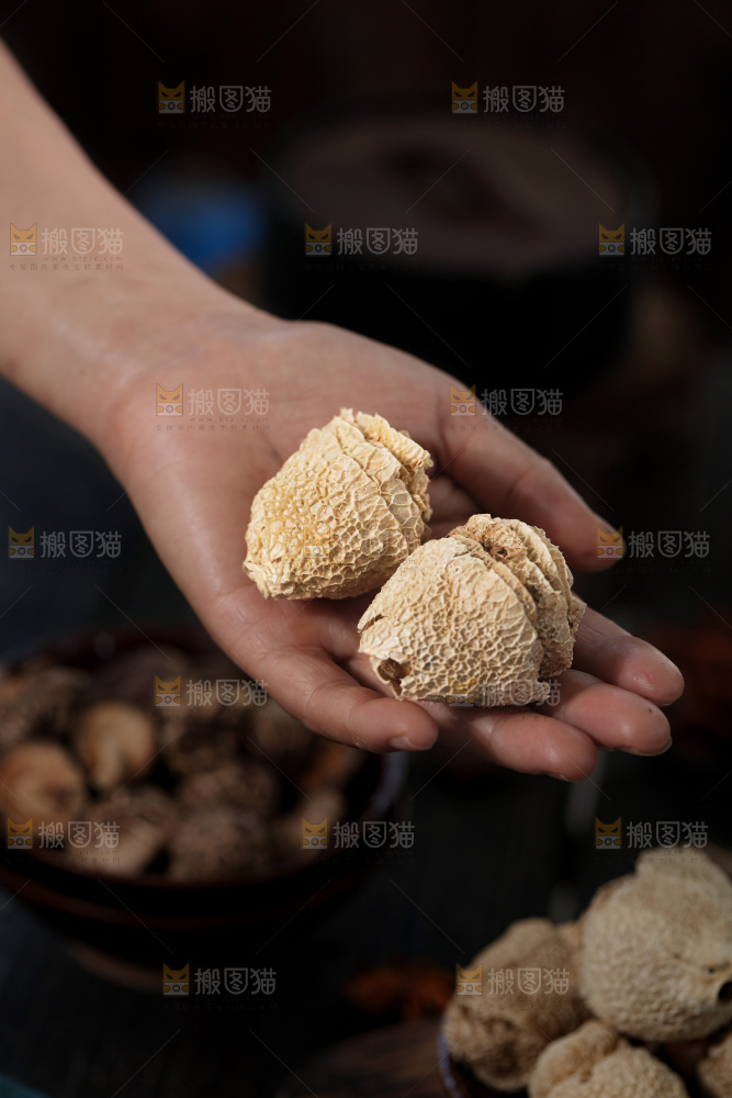 竹毛肚