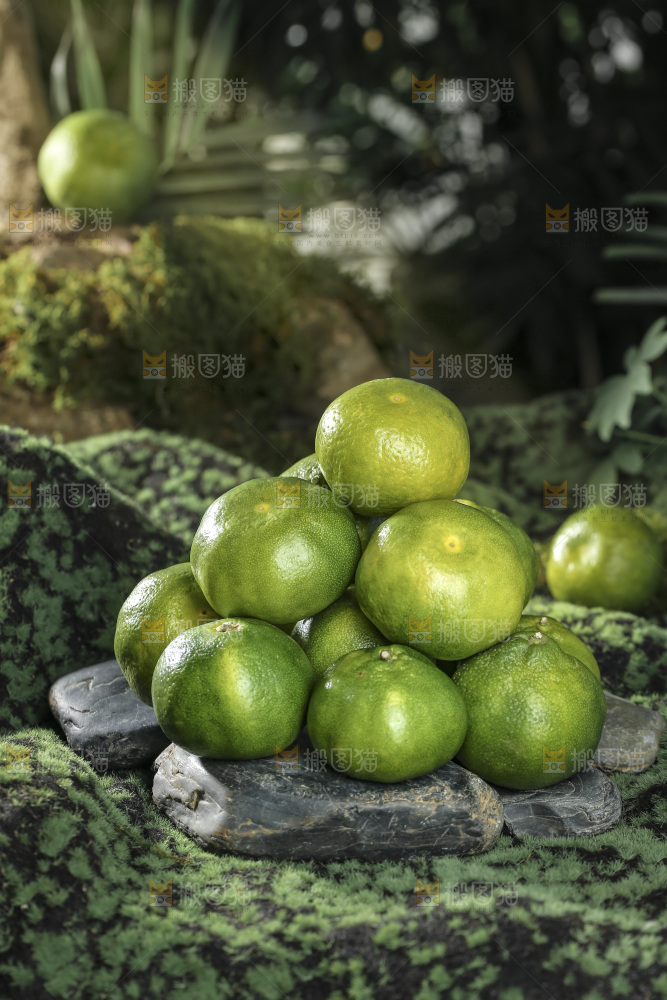 青皮蜜桔