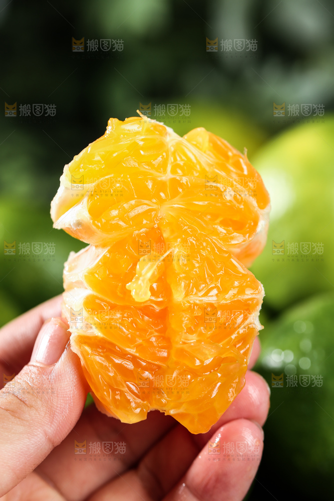 青皮蜜桔