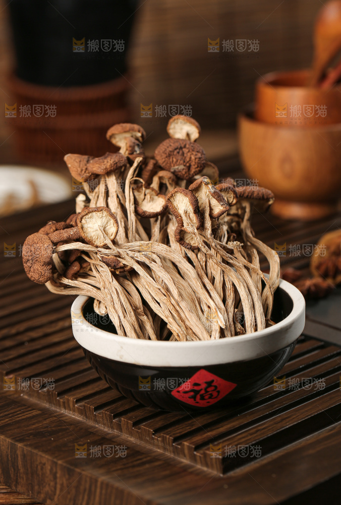 茶树菇
