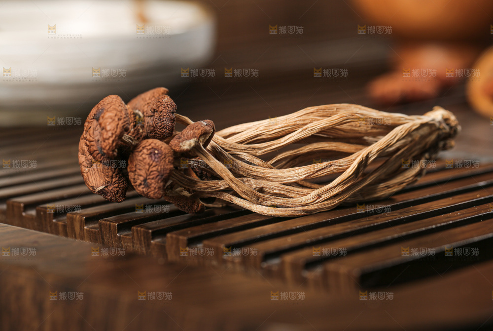 茶树菇