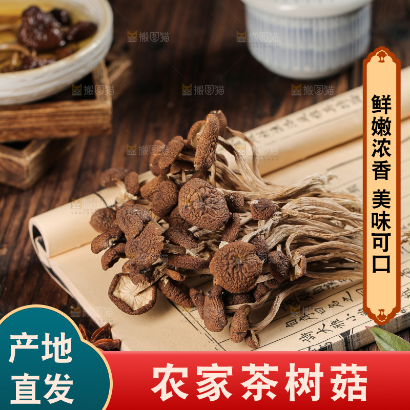 茶树菇