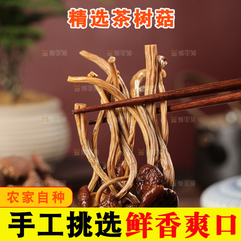 茶树菇