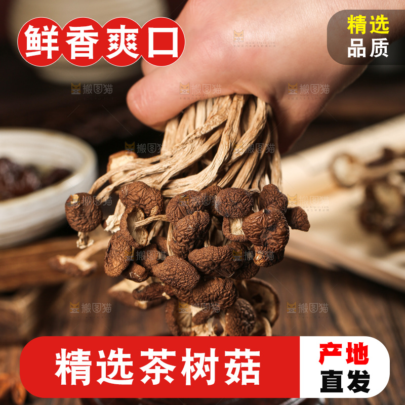 茶树菇