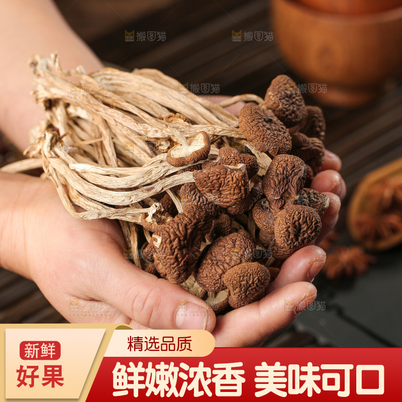 茶树菇