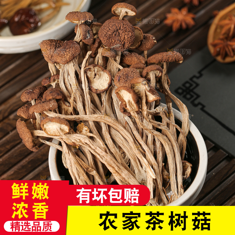 茶树菇