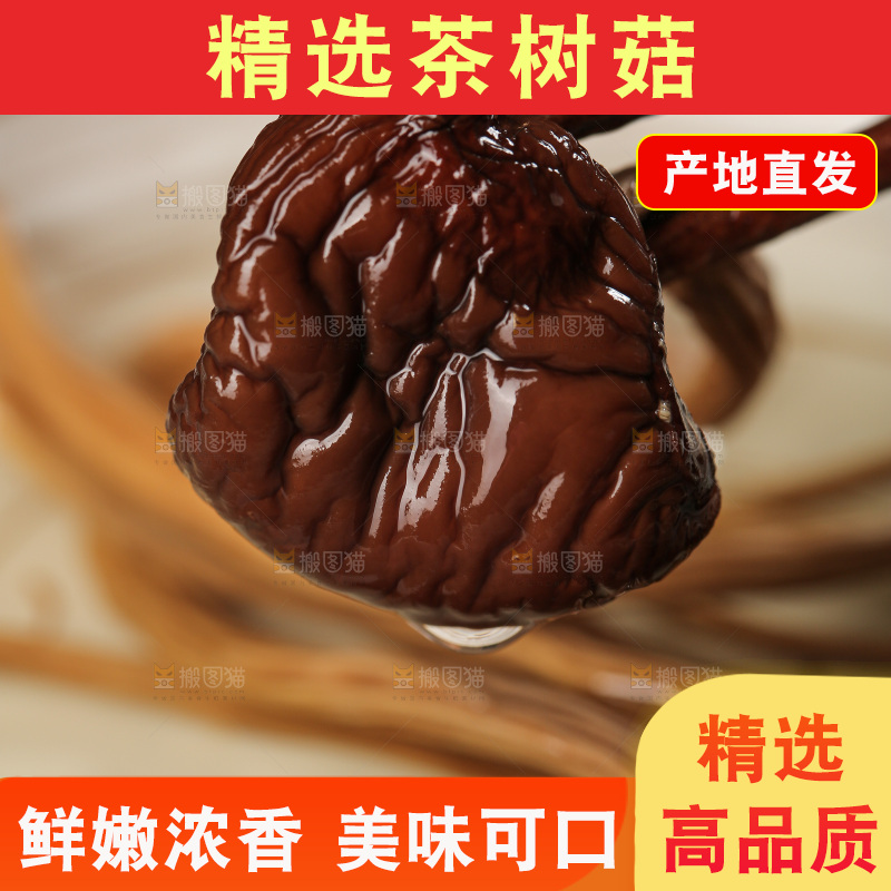 茶树菇