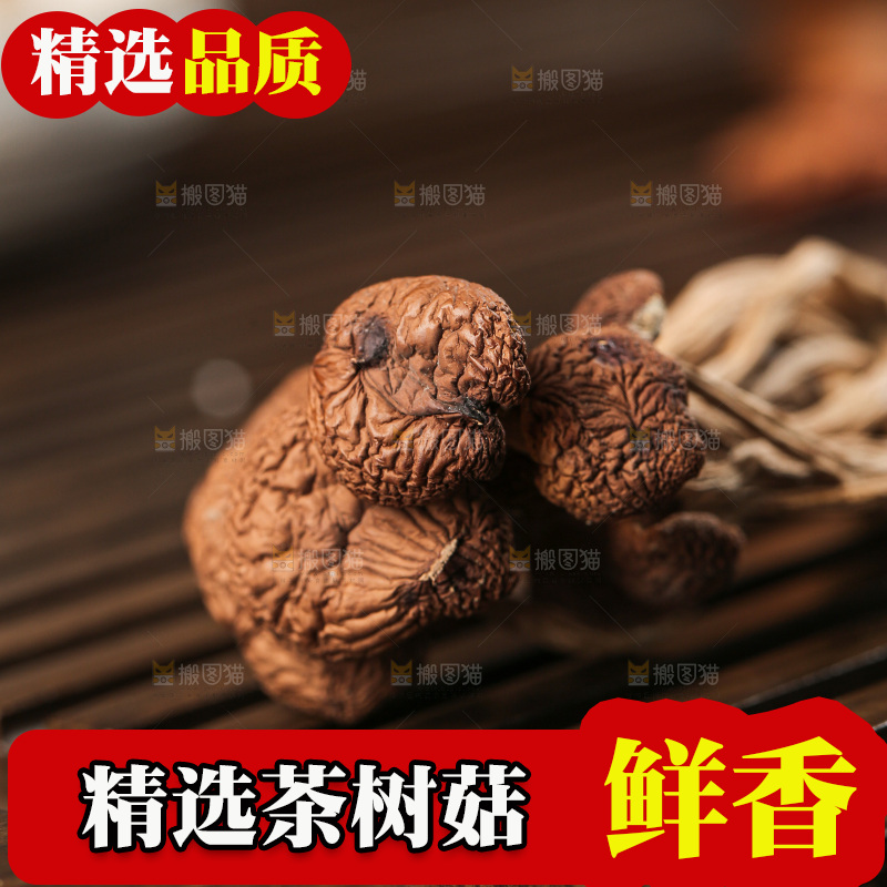 茶树菇