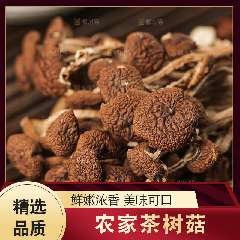 茶树菇