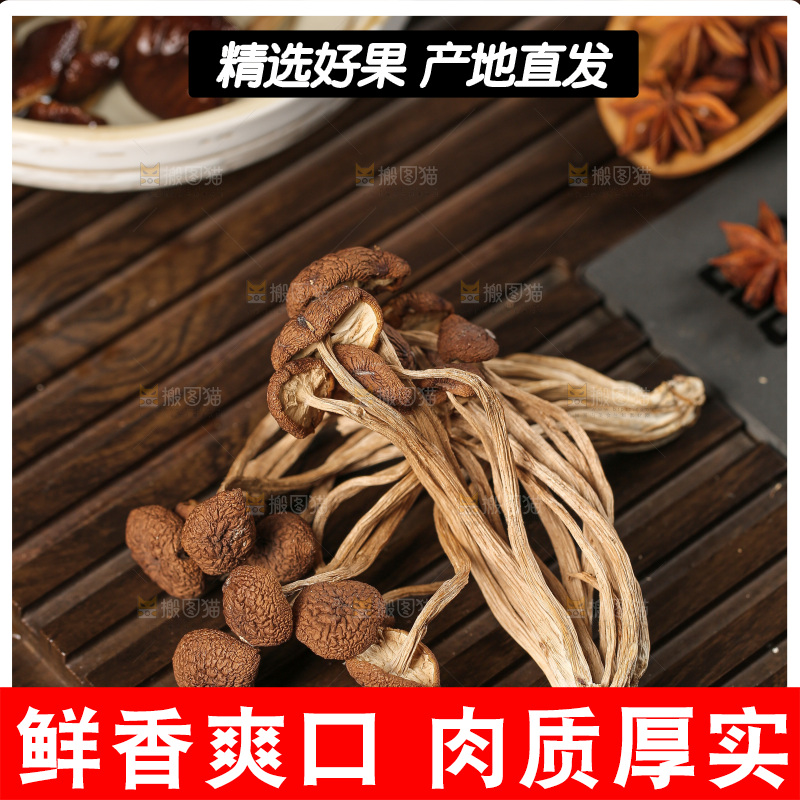 茶树菇