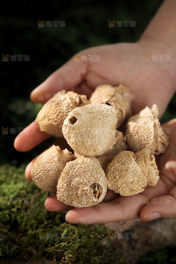 竹毛肚