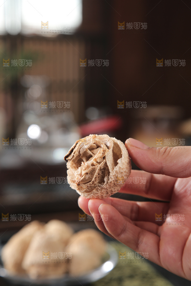 竹毛肚