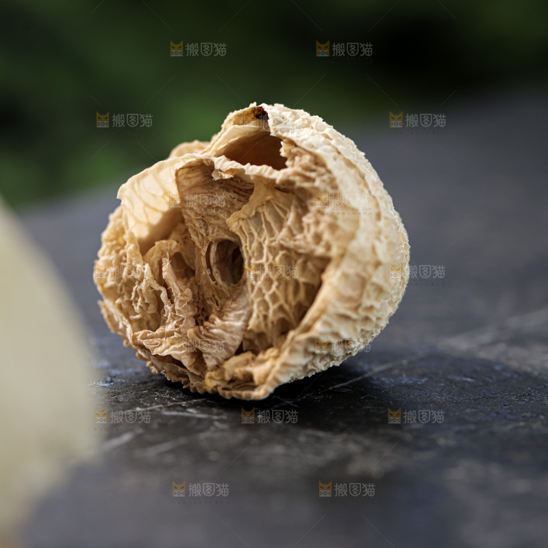 竹毛肚