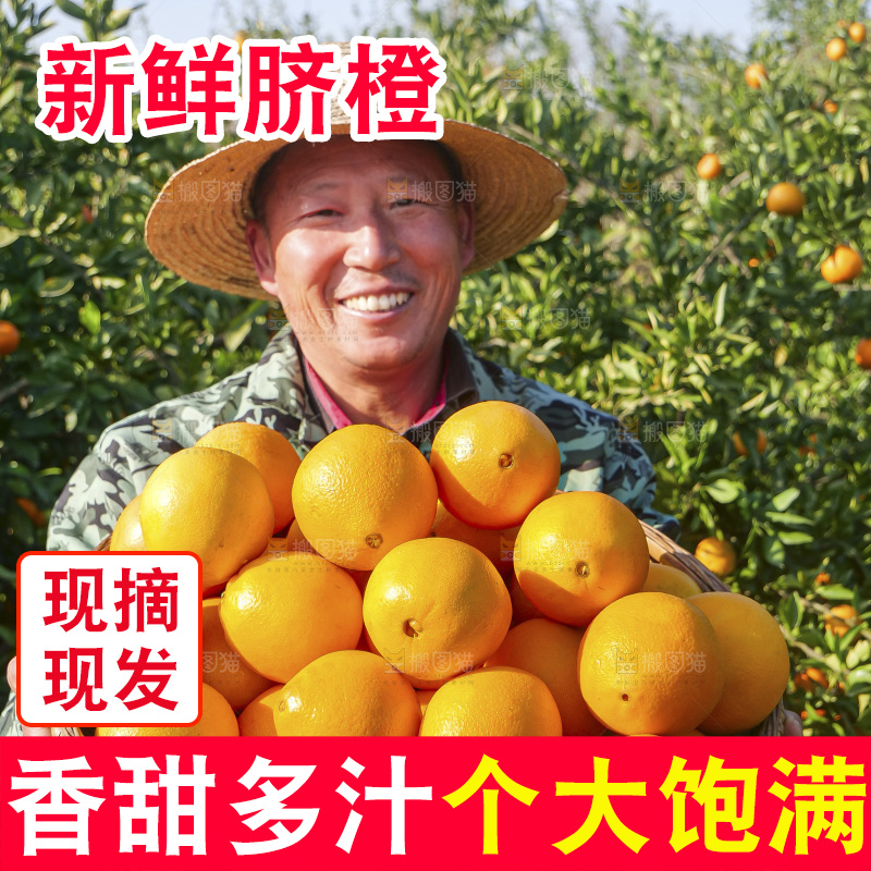 赣南脐橙
