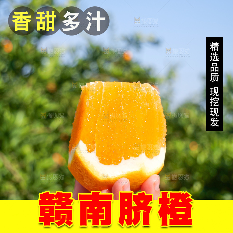 赣南脐橙