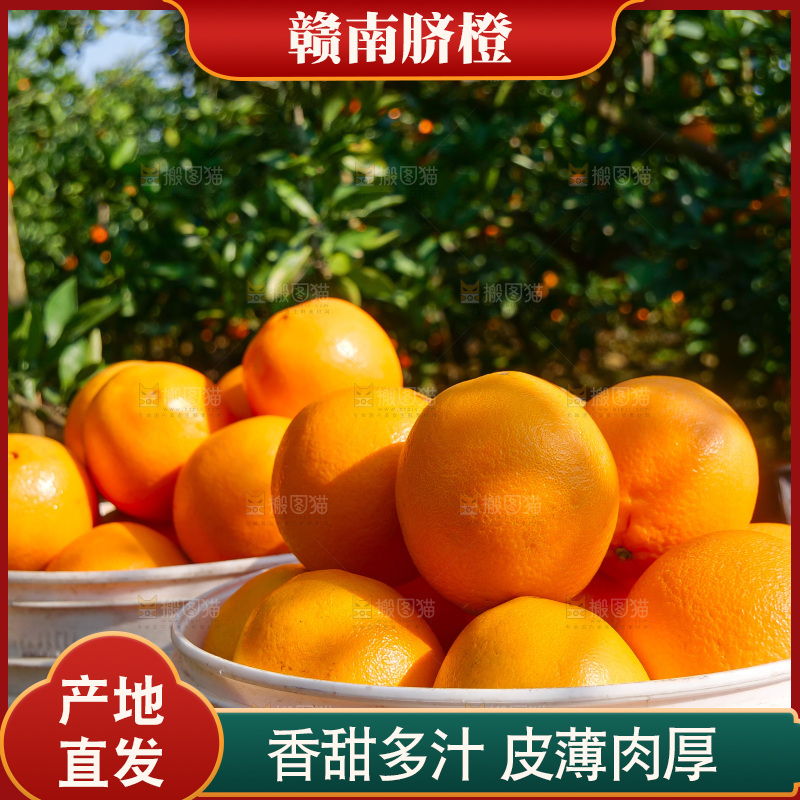 赣南脐橙