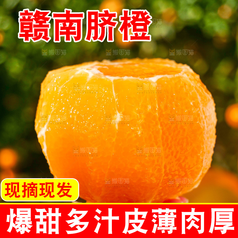 赣南脐橙