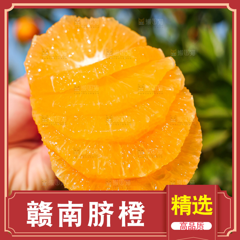 赣南脐橙