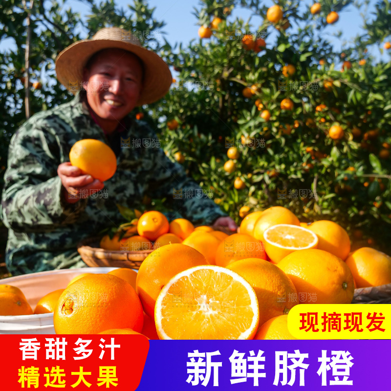 赣南脐橙
