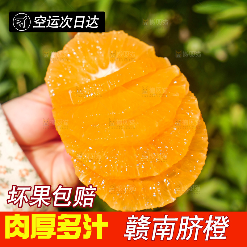 赣南脐橙