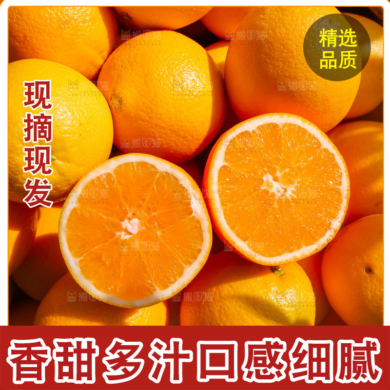 赣南脐橙