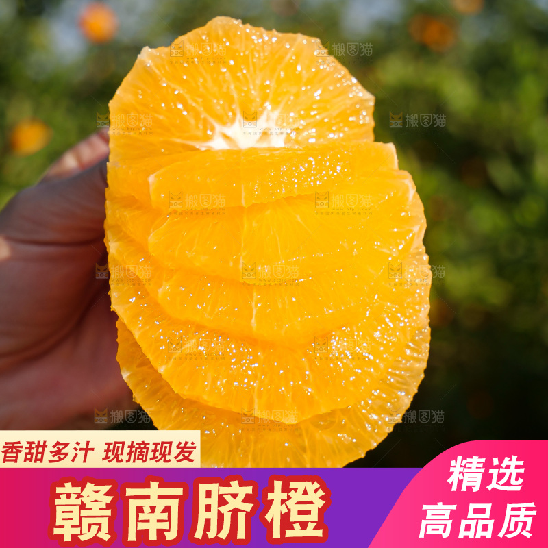 赣南脐橙