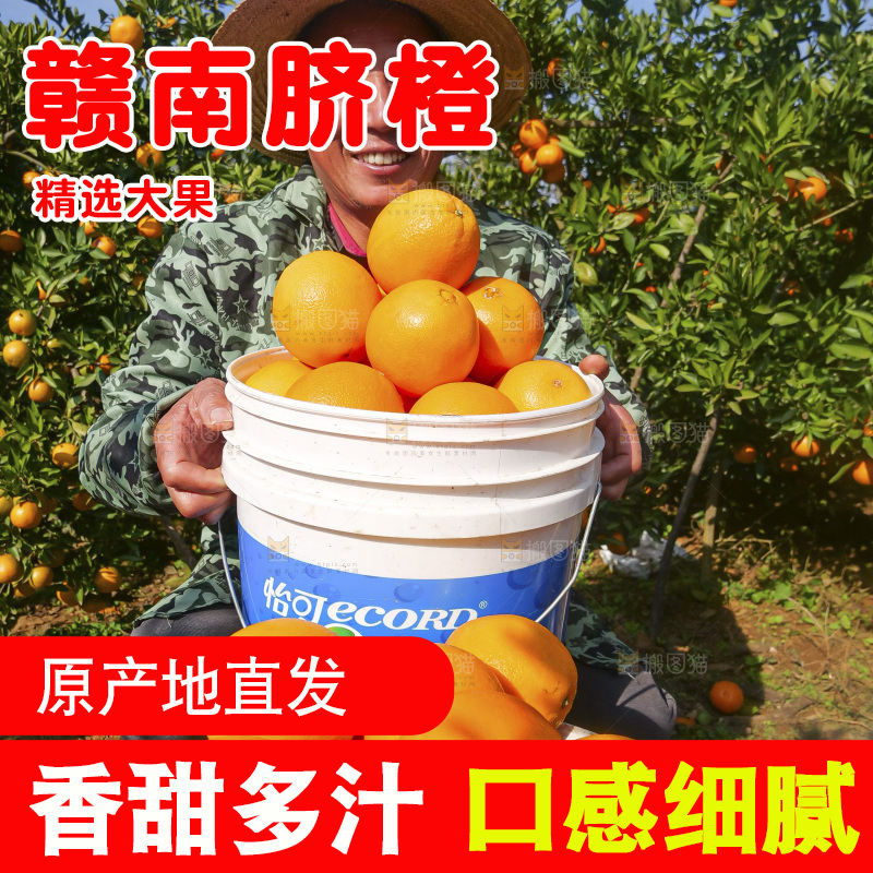 赣南脐橙