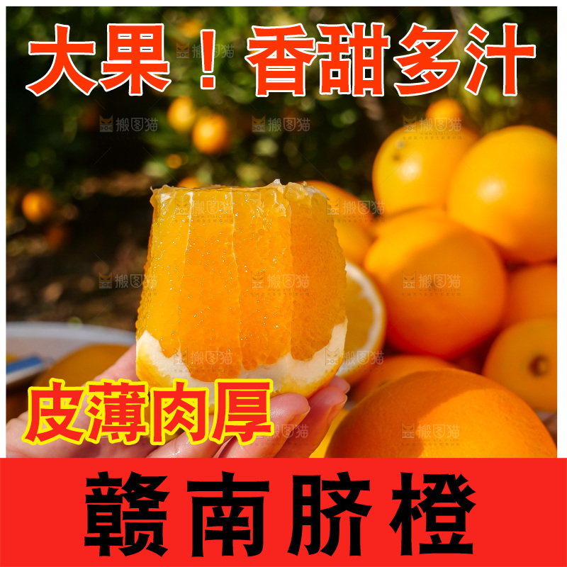 赣南脐橙