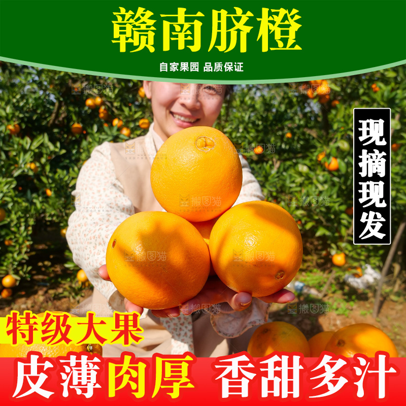 赣南脐橙