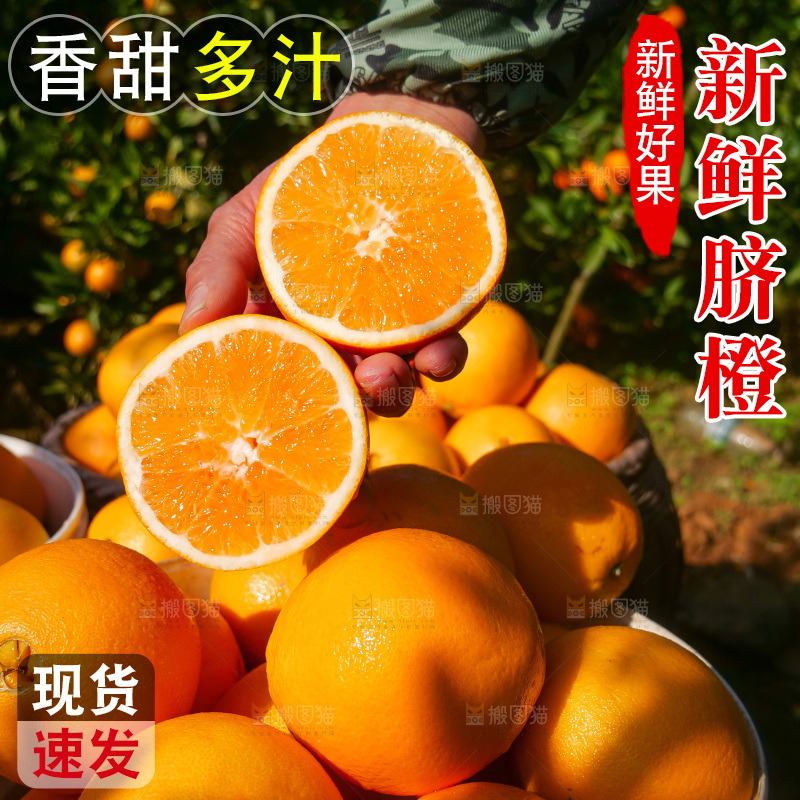 赣南脐橙