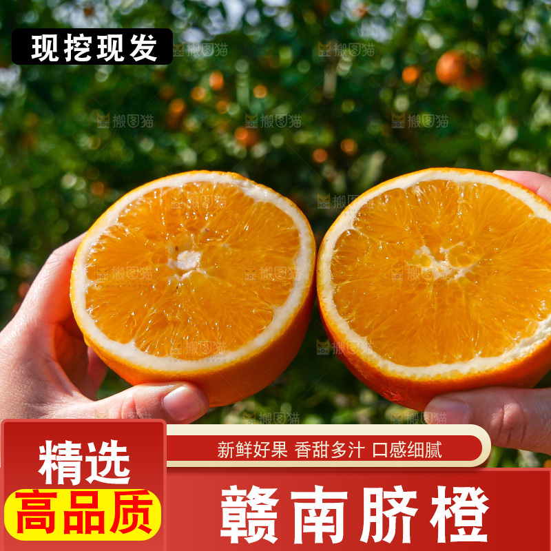 赣南脐橙