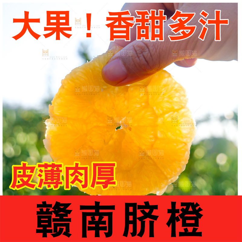 赣南脐橙