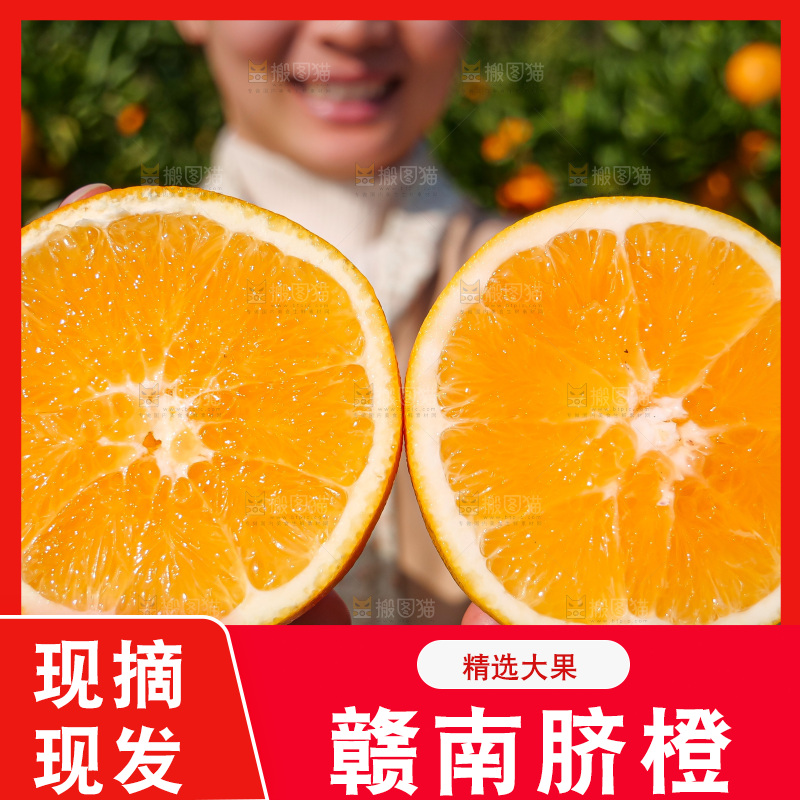 赣南脐橙