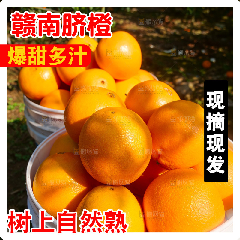 赣南脐橙