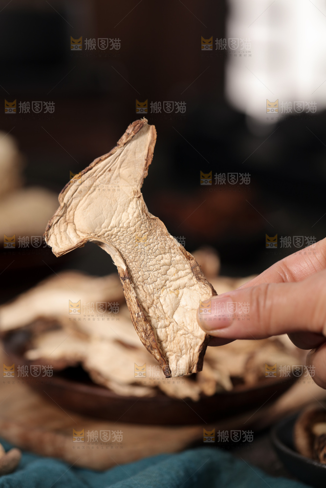 干松茸片