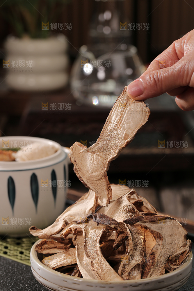 干松茸片