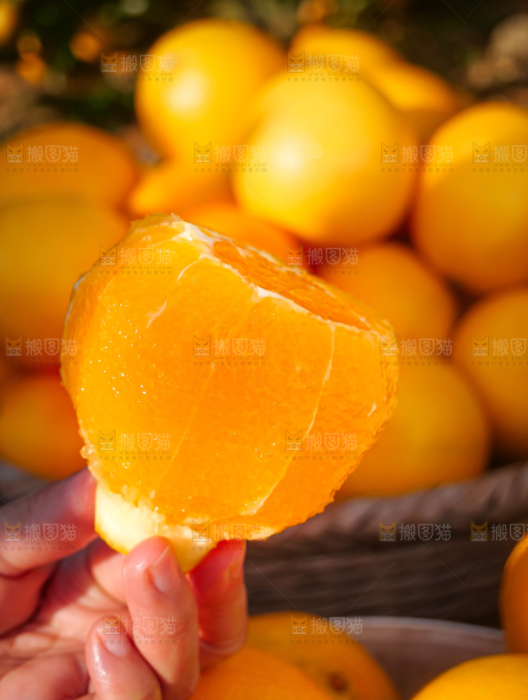 赣南脐橙