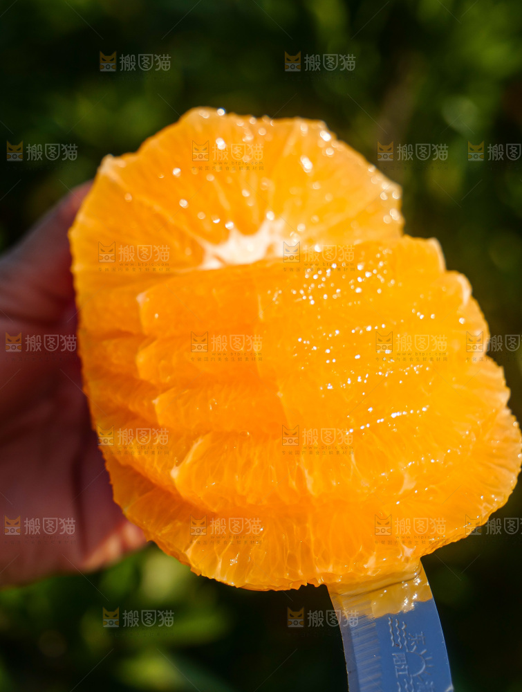 赣南脐橙