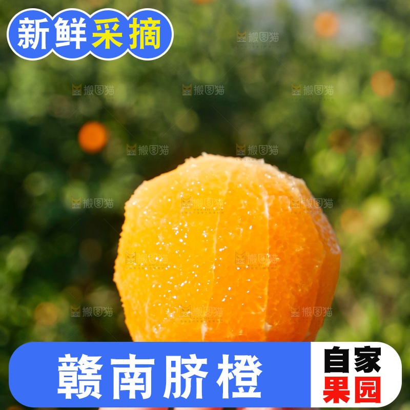 赣南脐橙