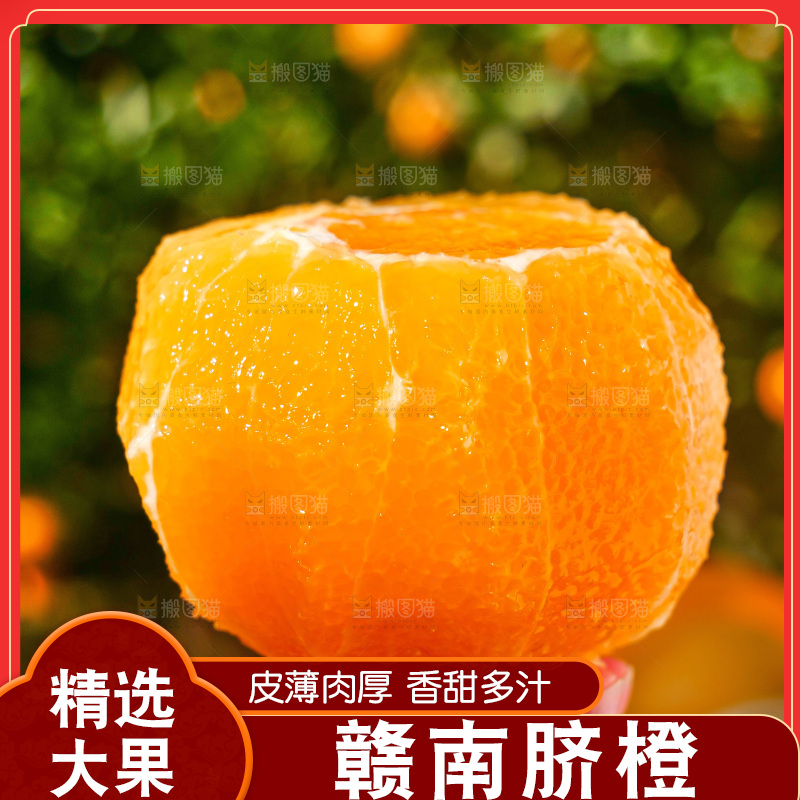 赣南脐橙