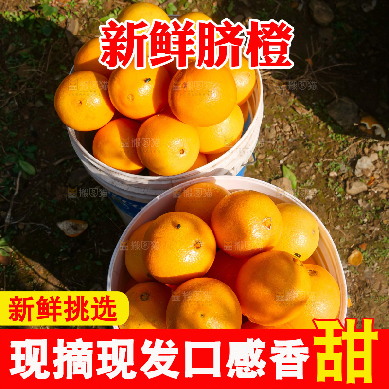 赣南脐橙
