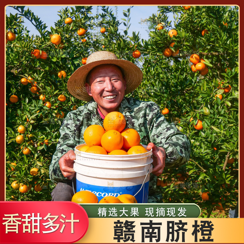 赣南脐橙