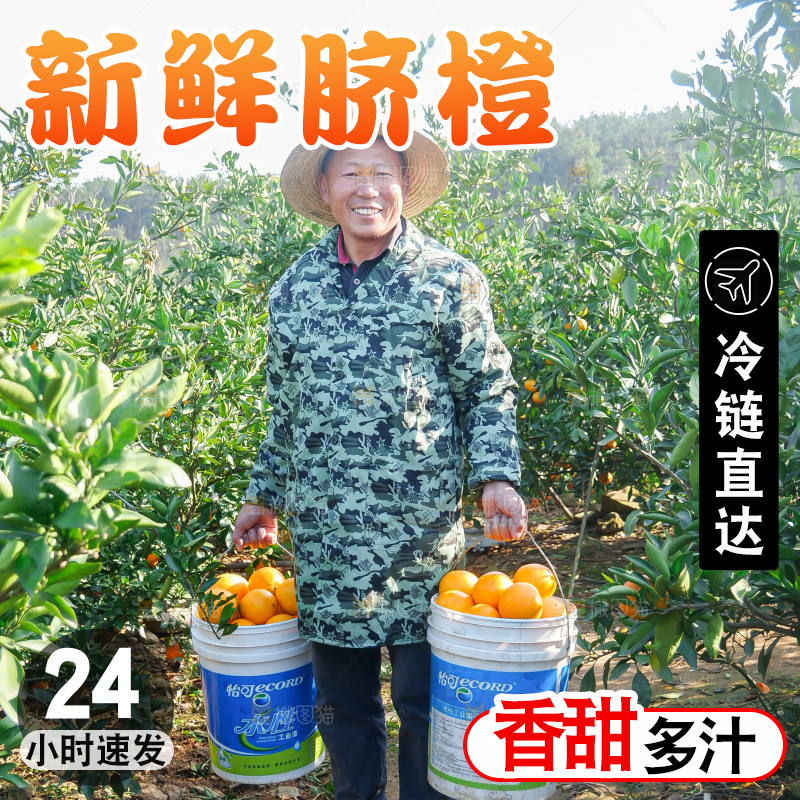 赣南脐橙