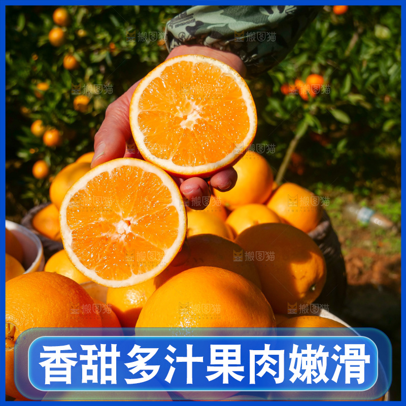 赣南脐橙