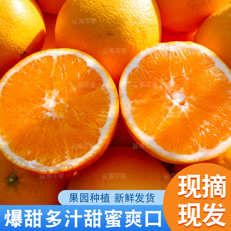 赣南脐橙