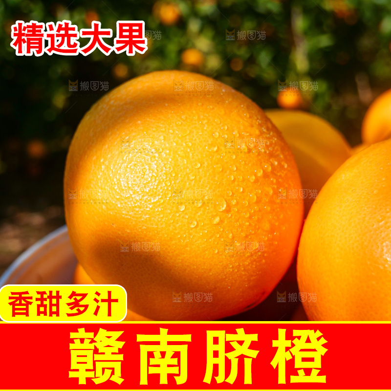 赣南脐橙