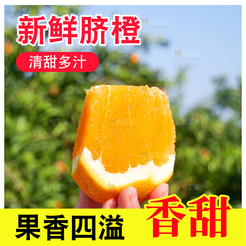赣南脐橙