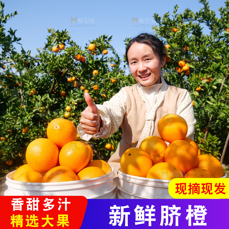 赣南脐橙